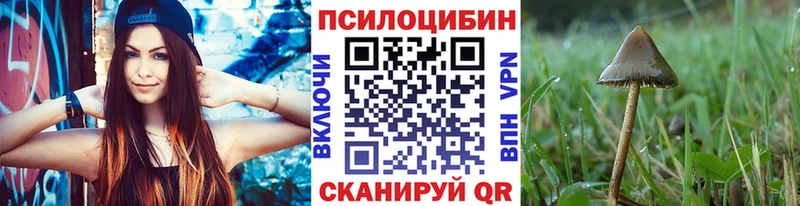 продажа наркотиков  blacksprut как войти  Галлюциногенные грибы прущие грибы  Уссурийск 