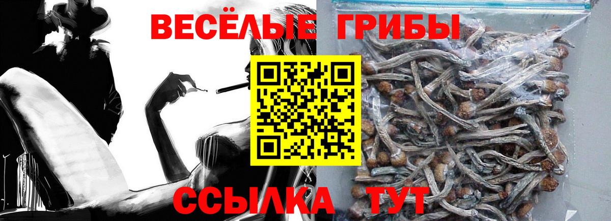 купить наркотик  Уссурийск  Псилоцибиновые грибы ЛСД  Псилоцибиновые грибы мицелий 