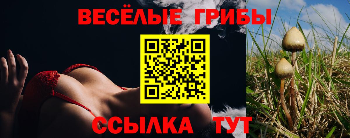 Галлюциногенные грибы Magic Shrooms Уссурийск