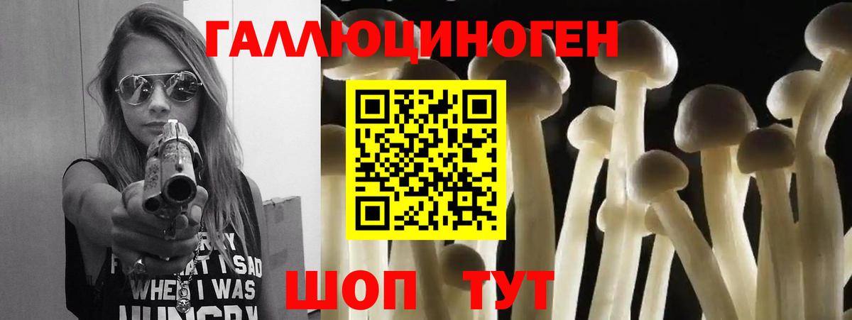Галлюциногенные грибы мухоморы Уссурийск